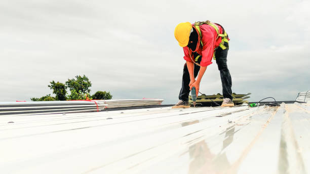 Best Roof Maintenance and Cleaning  in Rockville, MD